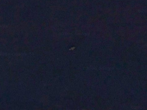 Google Earth上发现的鲸鱼