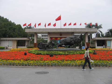 深圳市委大院的孺子牛雕塑