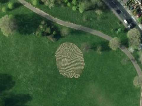 Google Earth上的世界上最大的指纹