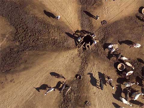 Google Earth下的骆驼饮水