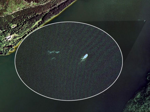 英国网民称用Google Earth发现尼斯湖怪